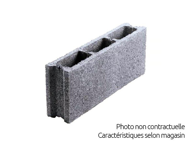 Parpaing creux  5x20x50 cm